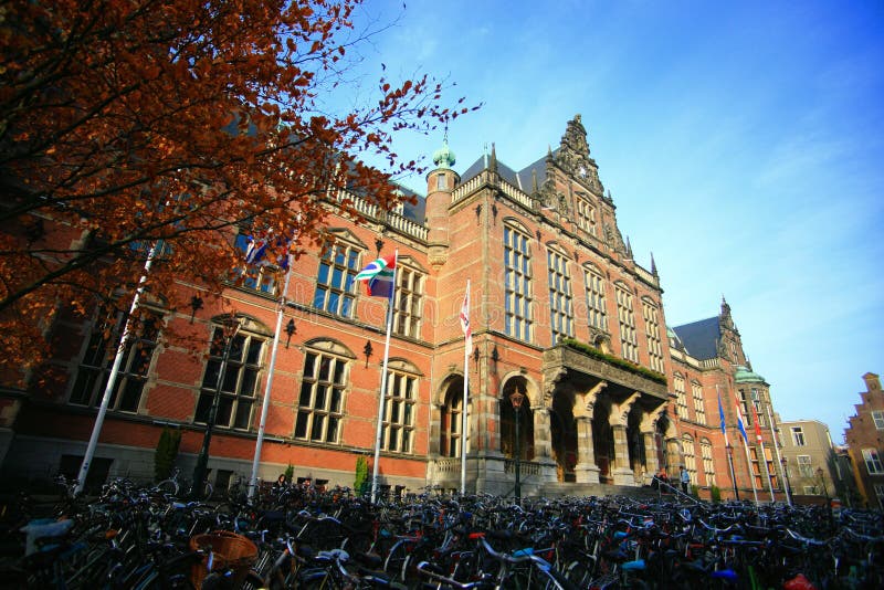 Students working in the Netherlands